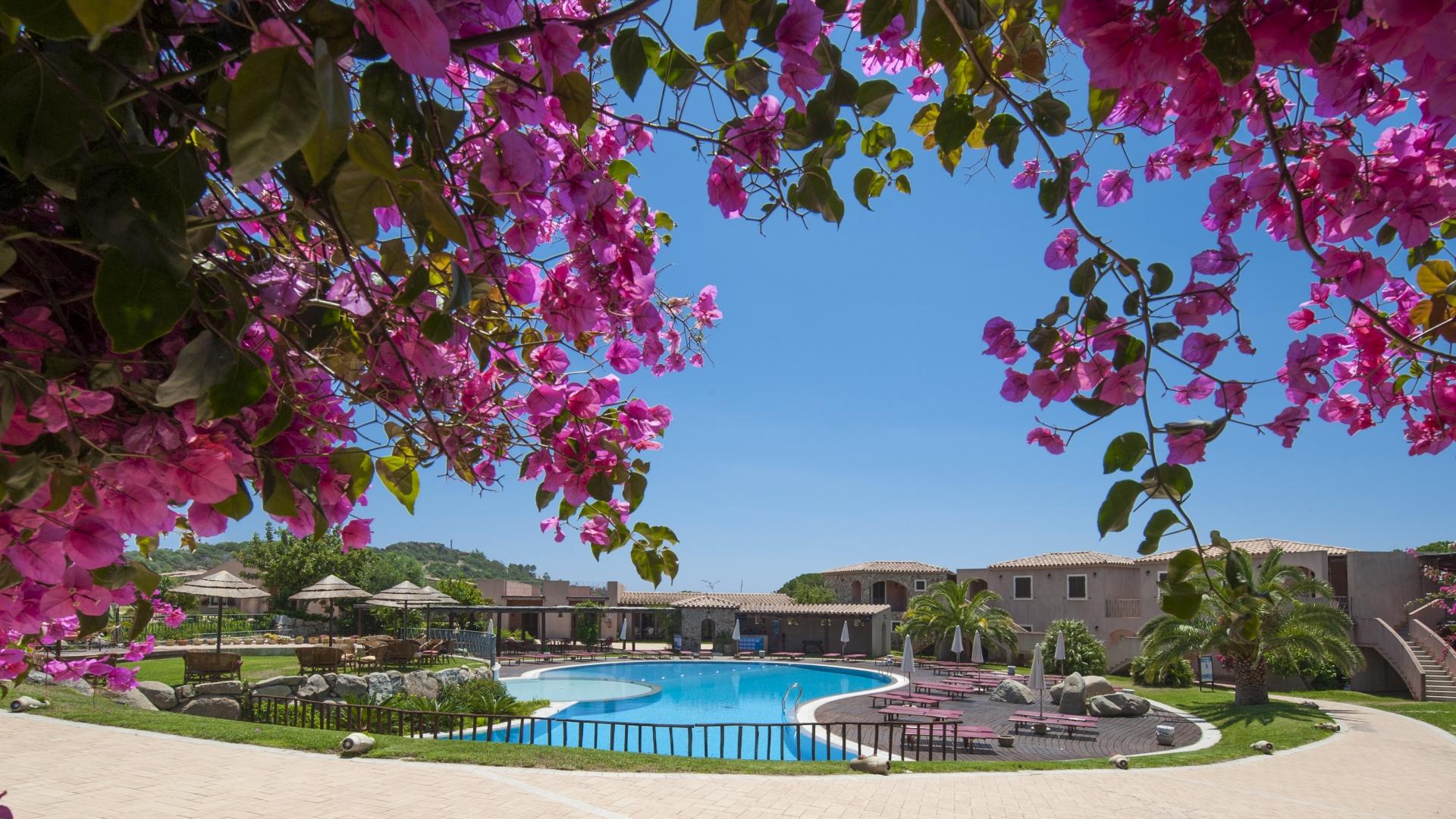 Piscina all'aperto circondata da fiori rosa e palme, cielo limpido e sereno.